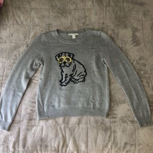 Grey English Bulldog Sweater